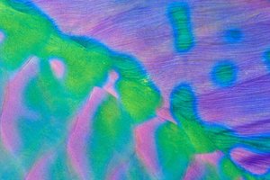 Podvodni svet v fotografiji - 4499.JPG