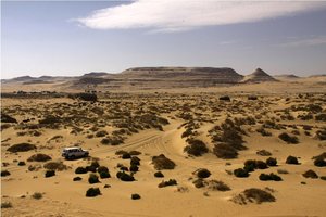 Maroko, Egipt in Oceanus - 4532.JPG