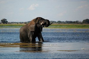 Namibija, Bocvana, Zimbabve + Burma - 4539.JPG