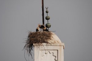 Po Maroku, s kolesom - 4568.jpg