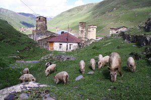 Mongolija + Gruzija in Armenija - 4581.JPG