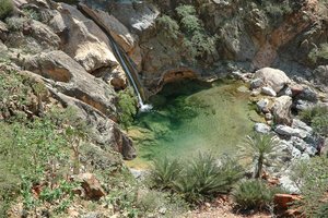 Jemen, Južna Amerika in Afrika - 4597.jpg