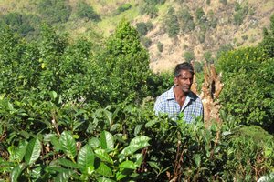 Šri Lanka - 4659.JPG