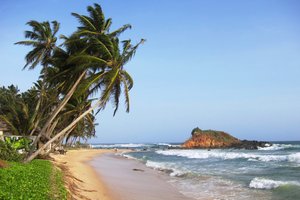 Šri Lanka - 4661.JPG