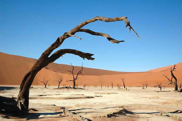 Filmska Afrika: Namibija, Bocvana in Zimbabve, z jeepi - 4675.jpg