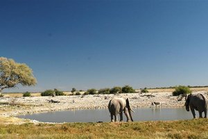 Filmska Afrika: Namibija, Bocvana in Zimbabve, z jeepi - 4679.jpg