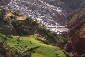 Prastare soline v sveti dolini Urubambe