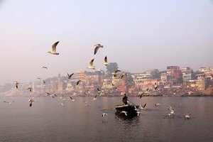 Indija XXL: Od Kašmirja do Orisse - 4736.JPG