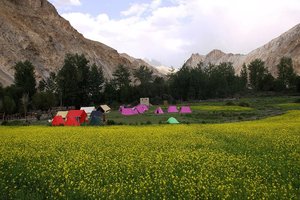 Indija XXL: Od Kašmirja do Orisse - 4747.JPG