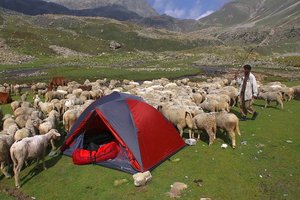 Indija XXL: Od Kašmirja do Orisse - 4749.jpg