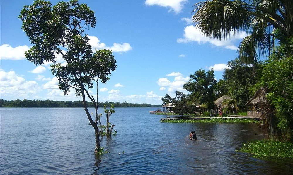 Z drevaki po pritokih Orinoca