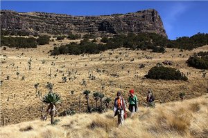 Treking po gorovju Simien, Etiopija