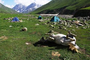 ShaPPin večer: kratke prezentacije in predstavitev - 4969.JPG