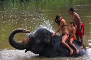 ShaPPin večer: kratke prezentacije in predstavitev - 4971.jpg