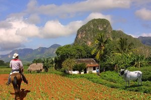 ShaPPin večer: kratke prezentacije in predstavitev - 4981.jpg