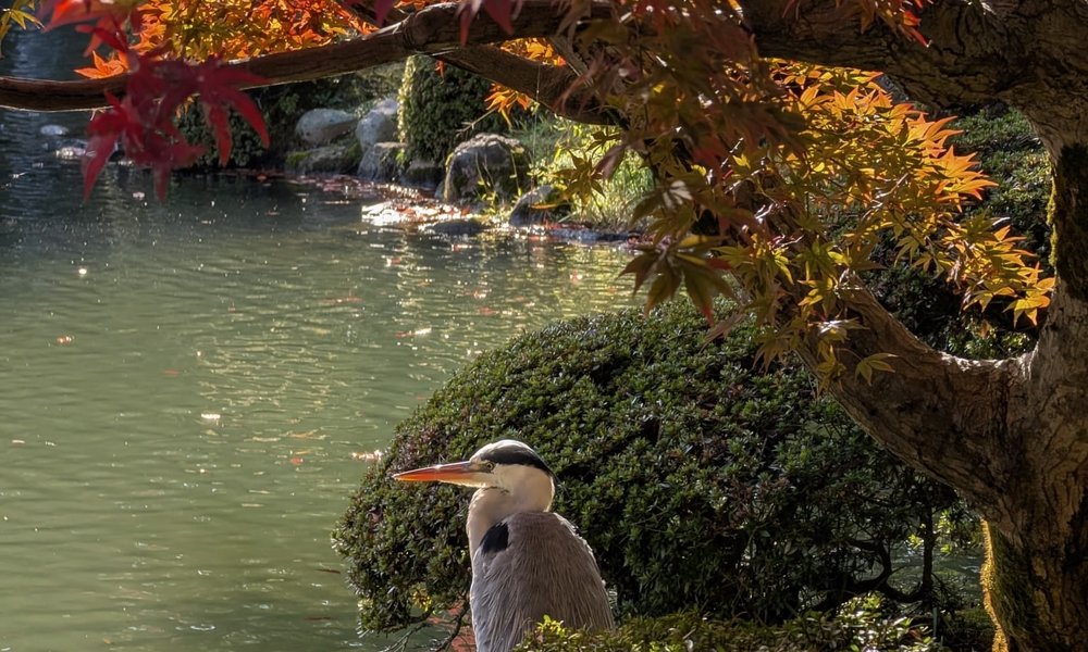 4fe704b2-4f6b-4bfe-84b6-4e9b452b4463 2