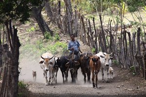 Nepal inTibet + Nikaragva, Kostarika in Panama - 5084.JPG