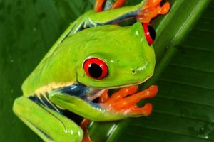 Nepal inTibet + Nikaragva, Kostarika in Panama - 5088.jpg