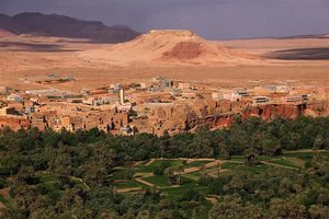 Marokko, palmovi gaji