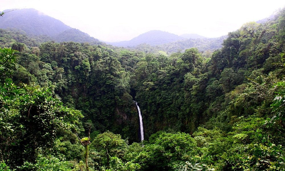 Eden mnogih slapov okoli La Fortune