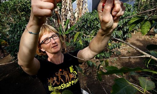 Na eni izmed plantaž kave v Kostariki