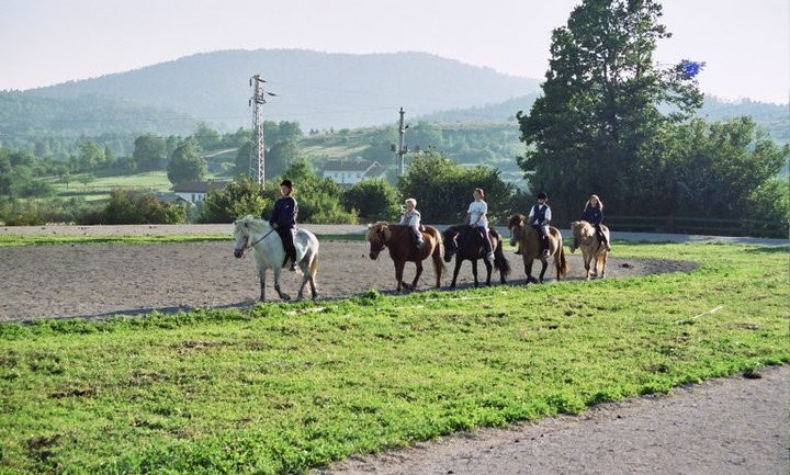 Jahanje, vikend na konjih - 5173.jpg