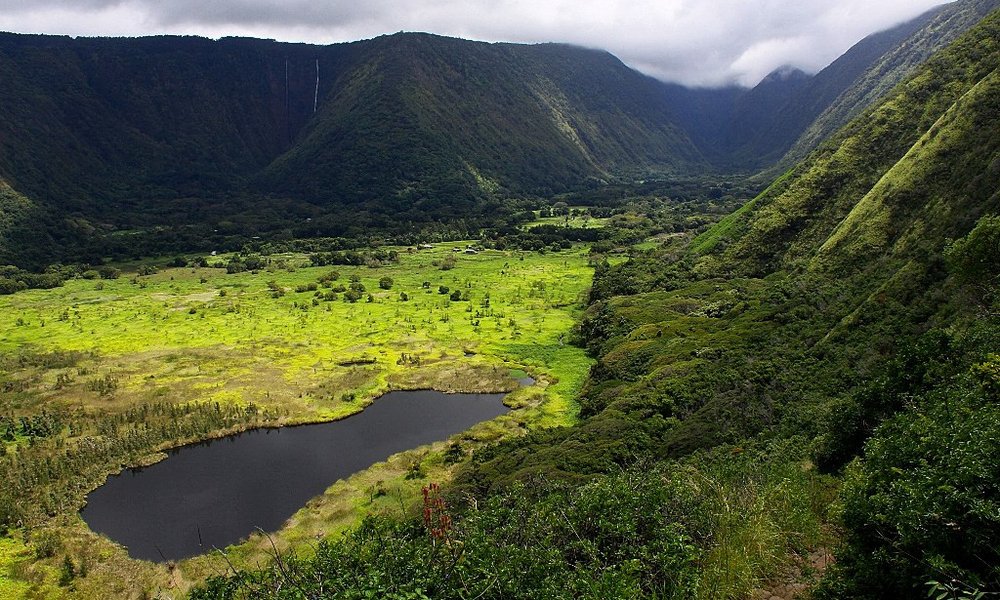 Ena izmed mnogih prezelnih dolin otoka Big Island, dolina Waipio