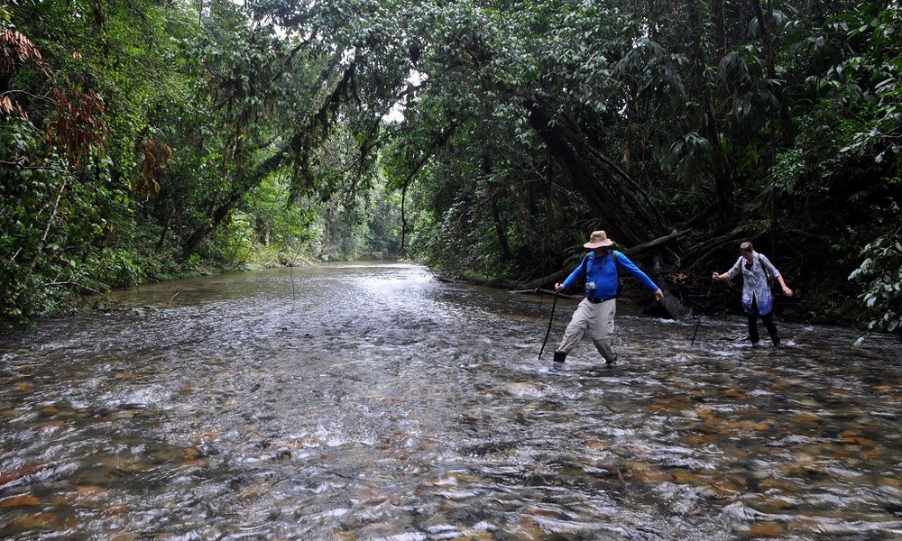 Moskitia in prečenje rek