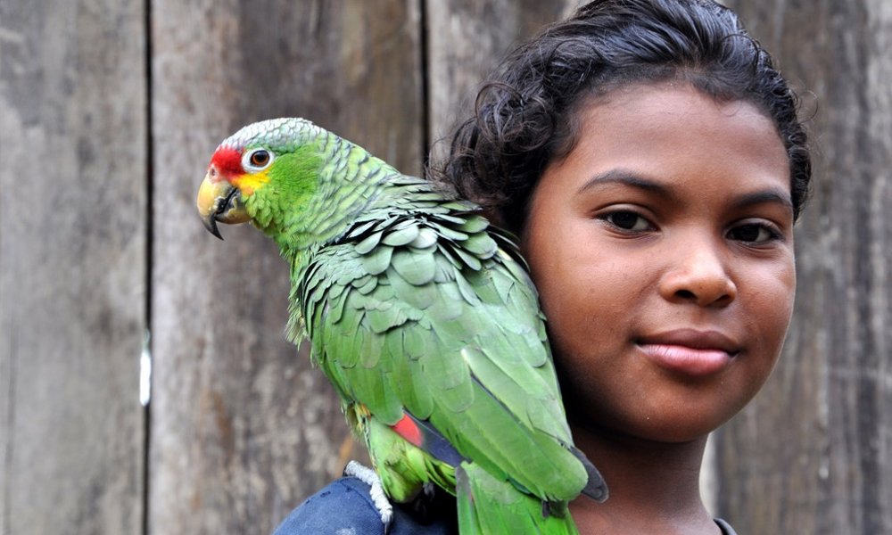 Sreča brez vrvice...