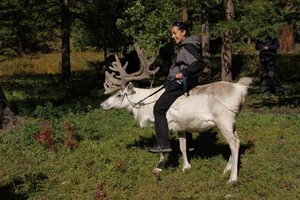 Aljaska in Mongolija - 5404.jpg