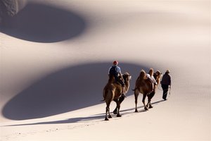 Aljaska in Mongolija - 5406.jpg