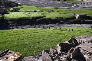 Ladak in Kašmir + Indija - 5426.jpg