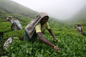 Ladak in Kašmir + Indija - 5441.jpg