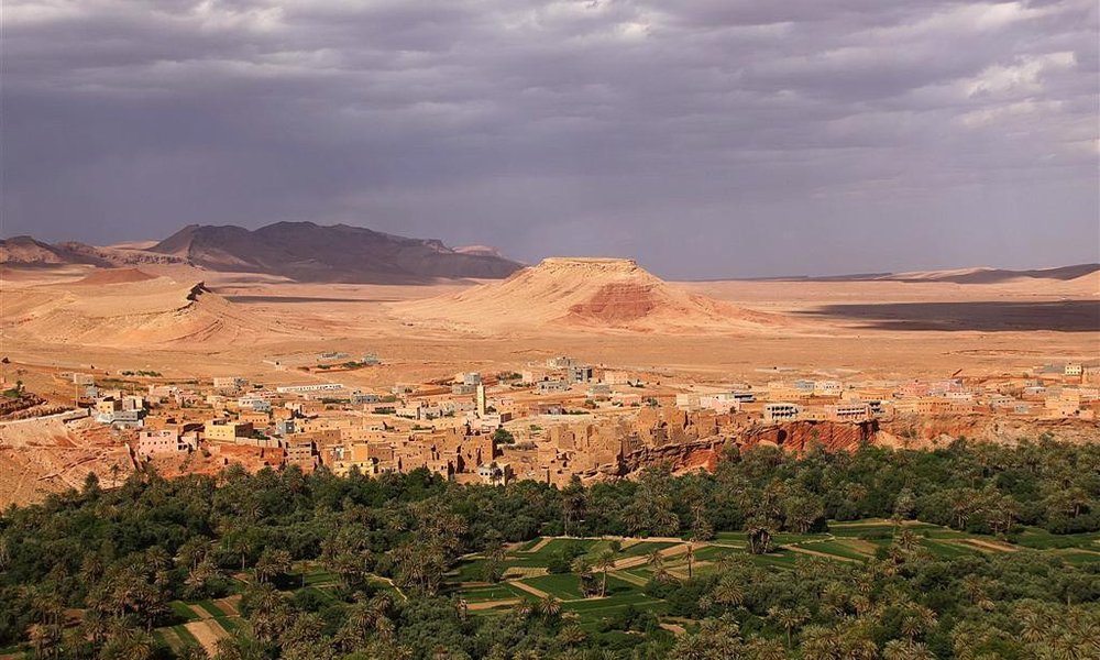 Wadiji in palmovi gaji