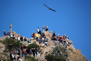 Peru: kondorji nad kanjonom Colca
