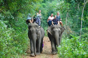 Tajska: jahanje slonov v džungli severa Tajske