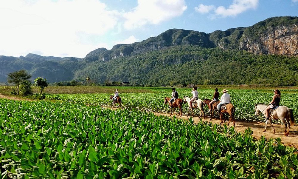 Kuba, za mlade - 5537.JPG