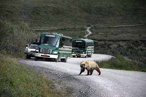 Aljaska in Južna Amerika - 5592.JPG