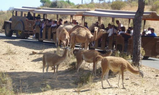 Andaluzija, za družine - 5643.jpg