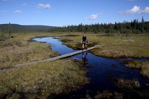 Aljaska in potovanja za študente - 5676.JPG