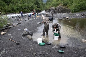 Aljaska in potovanja za študente - 5677.JPG