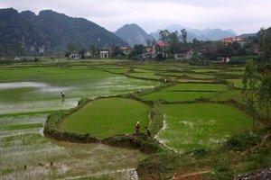 Vietnam in potovanja za študente - 5690.JPG