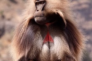 Etiopija in potovanja za študente - 5701.JPG