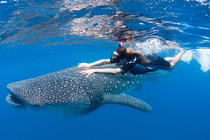 Popotniški piknik - 5706.jpg