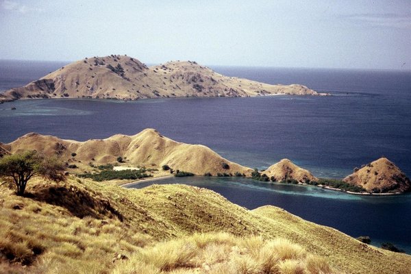 Indonezija - 5812.JPG