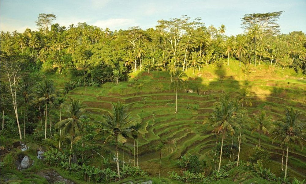 Indonezija: Bali in Lombok - 5996.JPG