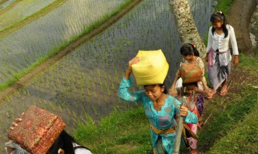 Indonezija: Bali in Lombok - 5999.JPG