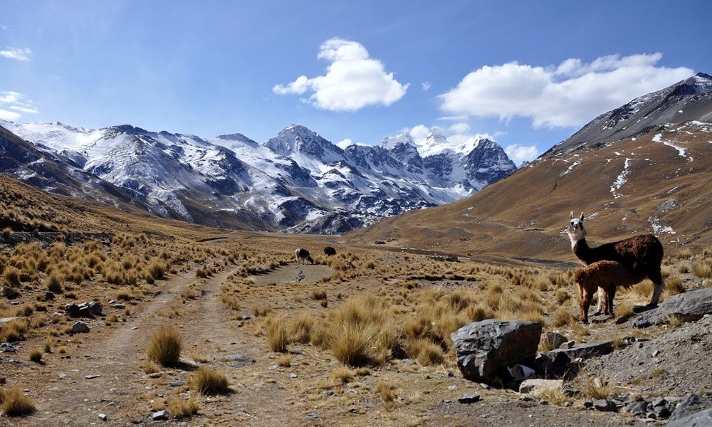 Treking v Cordilleri Real