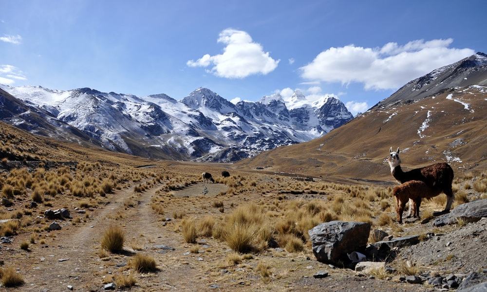 Treking v Cordilleri Real