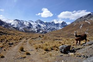 Bolivija - 6033.jpg